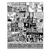 Freak Brothers integral 1 (edición rústica)