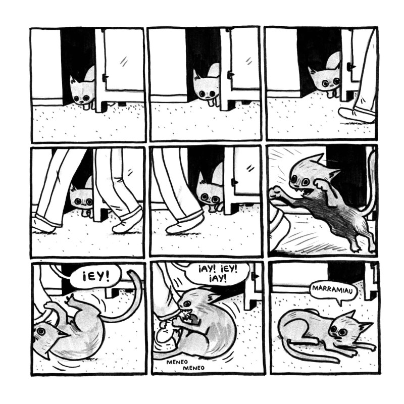 Gato saliendo de una bolsa y otras observaciones (edición rústica)