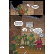 Las aventuras animadas 4: Teenage Mutant Ninja Turtles