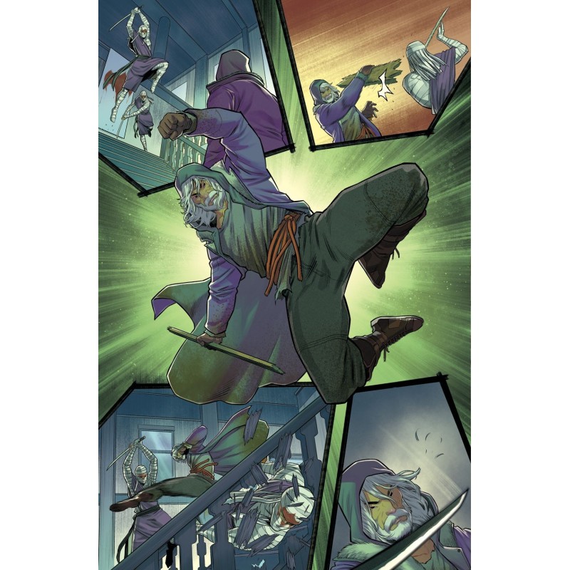 Teenage Mutant Ninja Turtles: Shredder 1