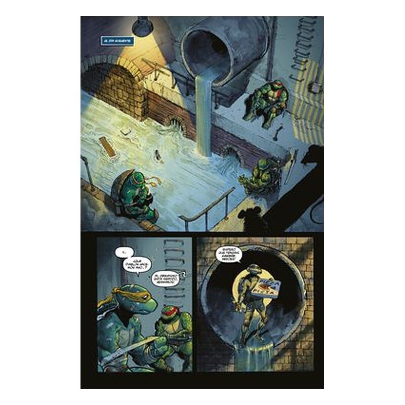 Teenage Mutant Ninja Turtles 2: Nueva York vs. las Tortugas Ninja