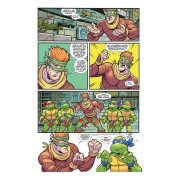 Teenage Mutant Ninja Turtles: Las aventuras animadas 2