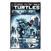 Teenage Mutant Ninja Turtles: Especial 40 aniversario