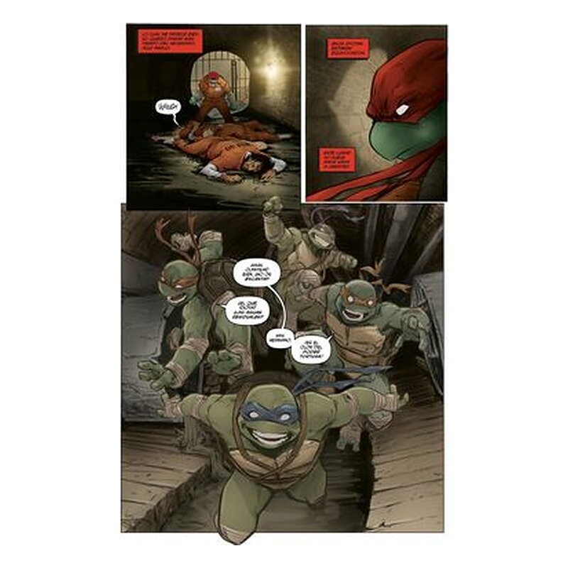 Teenage Mutant Ninja Turtles 1: Regreso a Nueva York