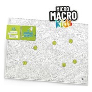 MicroMacro Kids