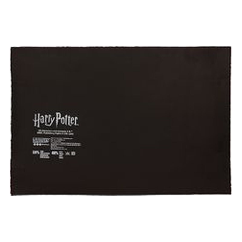 Felpudo Harry Potter: 9 3/4 - SD Toys