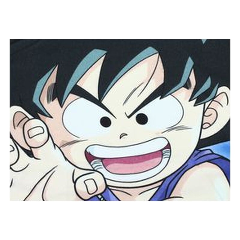 Manta polar Dragon Ball: Shenron and Heroes - SD Toys (100 x 150 cm)