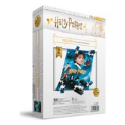 Puzle póster Harry Potter y la piedra filosofal efecto 3D (100 piezas)