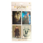 Imanes Harry Potter: lenticulares - SD Toys (4 uds.)