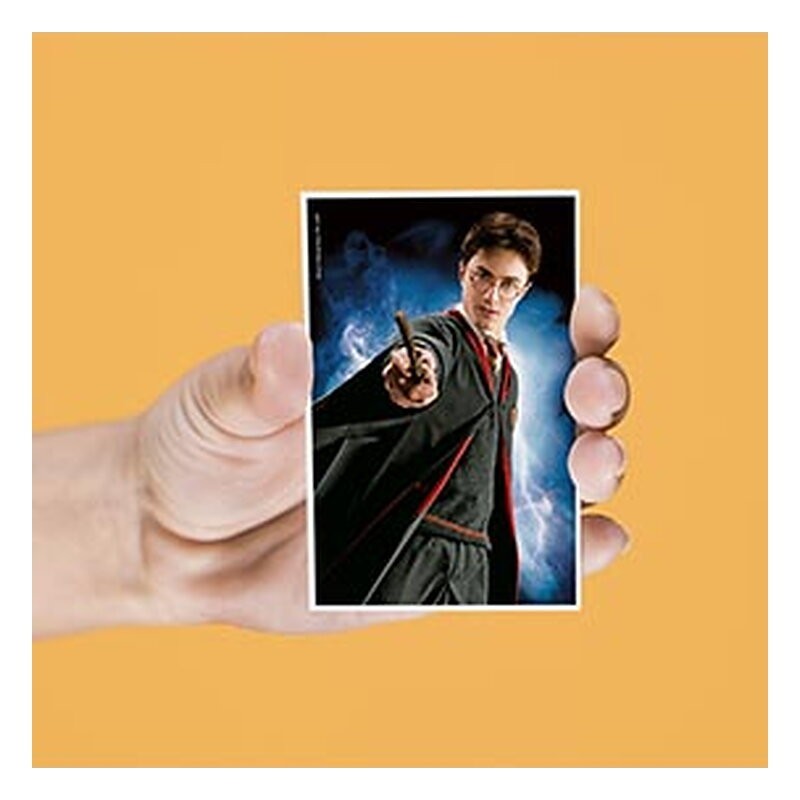 Imanes Harry Potter: lenticulares - SD Toys (4 uds.)
