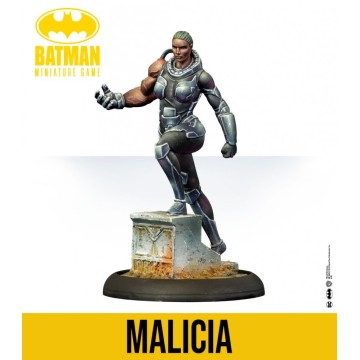 Batman Miniature Game: Soldiers Of Fortune Reinforces