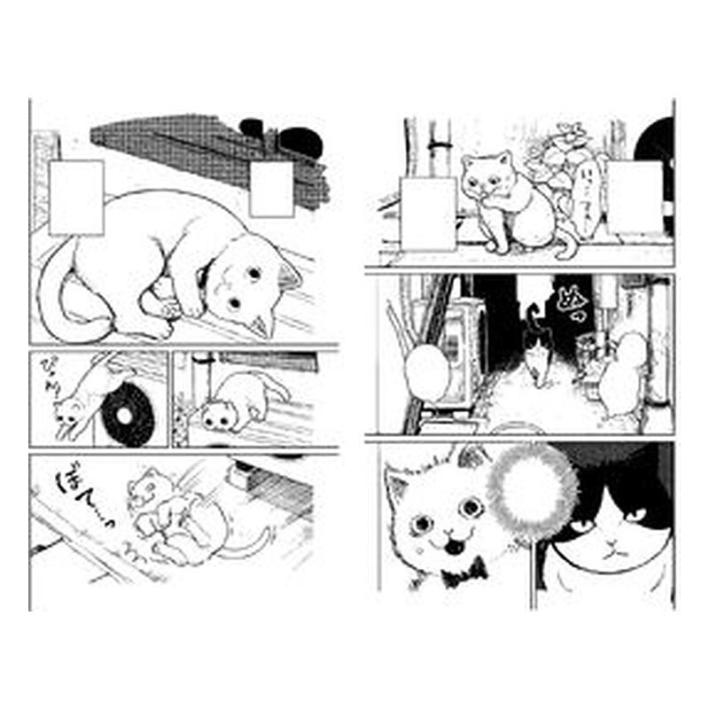 Los Amigatos: Hachi y Maruru 1