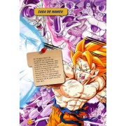 Kame Hame Ha! La guía definitiva de Dragon Ball 1