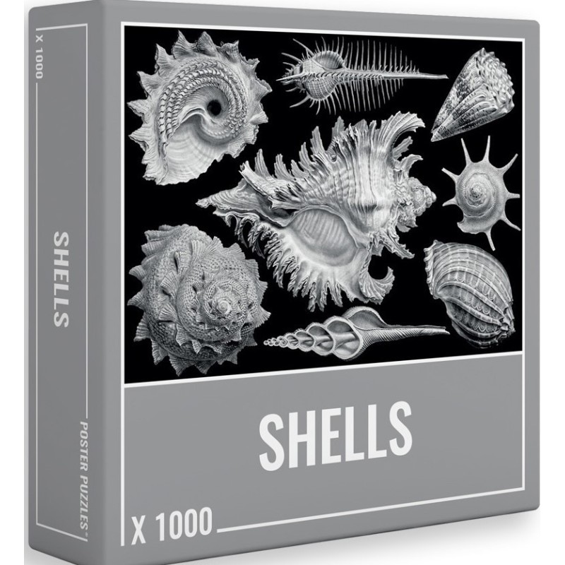 Puzzle Shells 1000