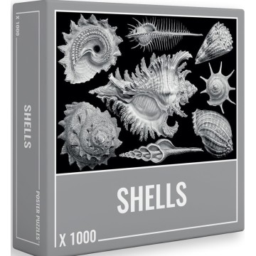 Puzzle Shells 1000