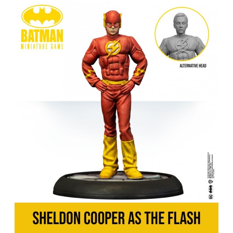 Batman Miniature Game: The Big Bang Theory Justice League Cosplay