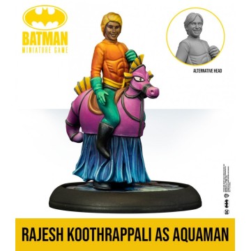 Batman Miniature Game: The Big Bang Theory Justice League Cosplay