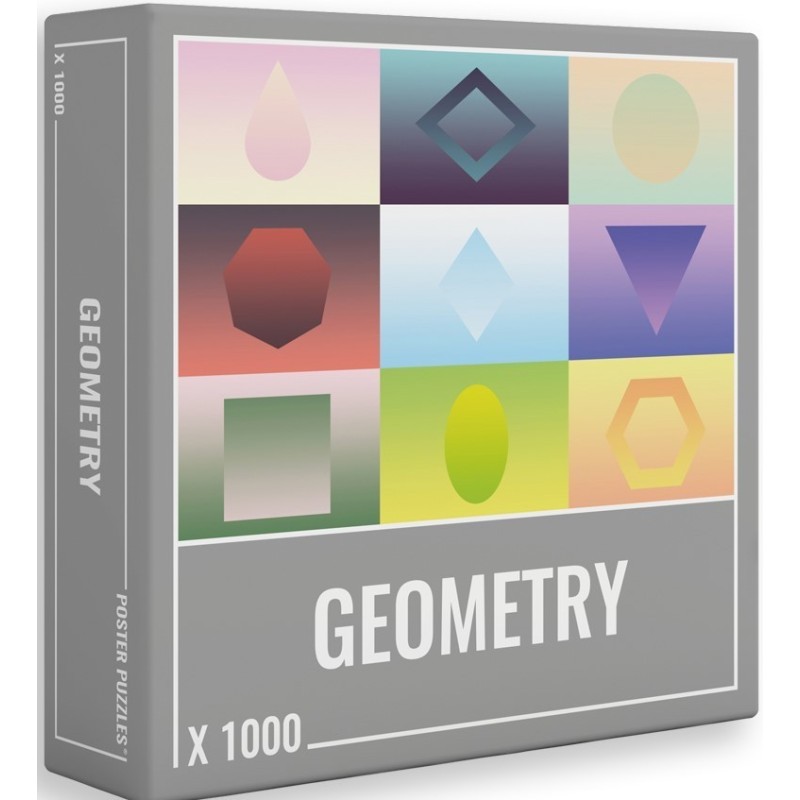 Puzzle Geometry 1000