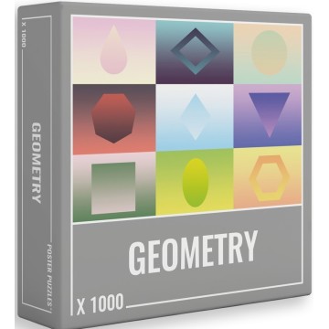 Puzzle Geometry 1000