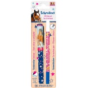 Bolígrafo de tinta con borrador