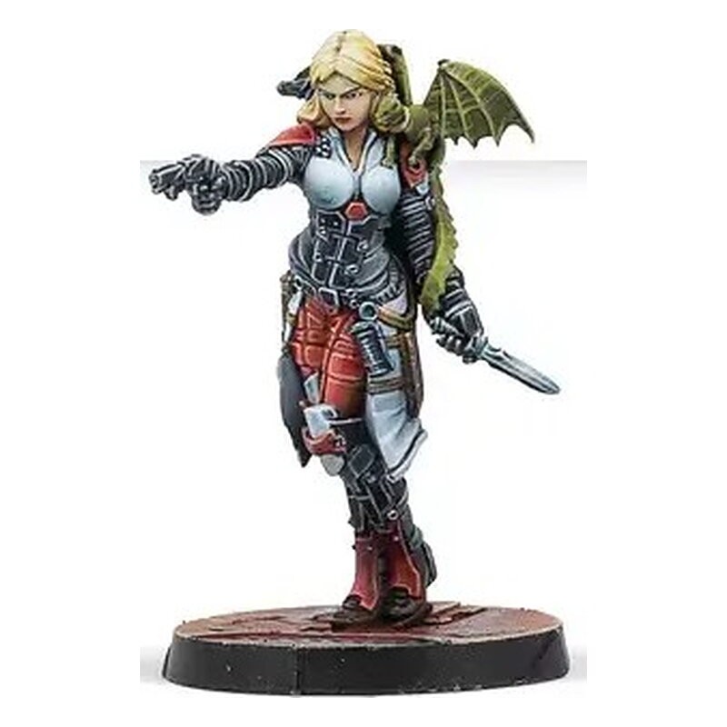 Dire Foes Mission Pack 14: Blocking Zone - Infinity (Inglés)