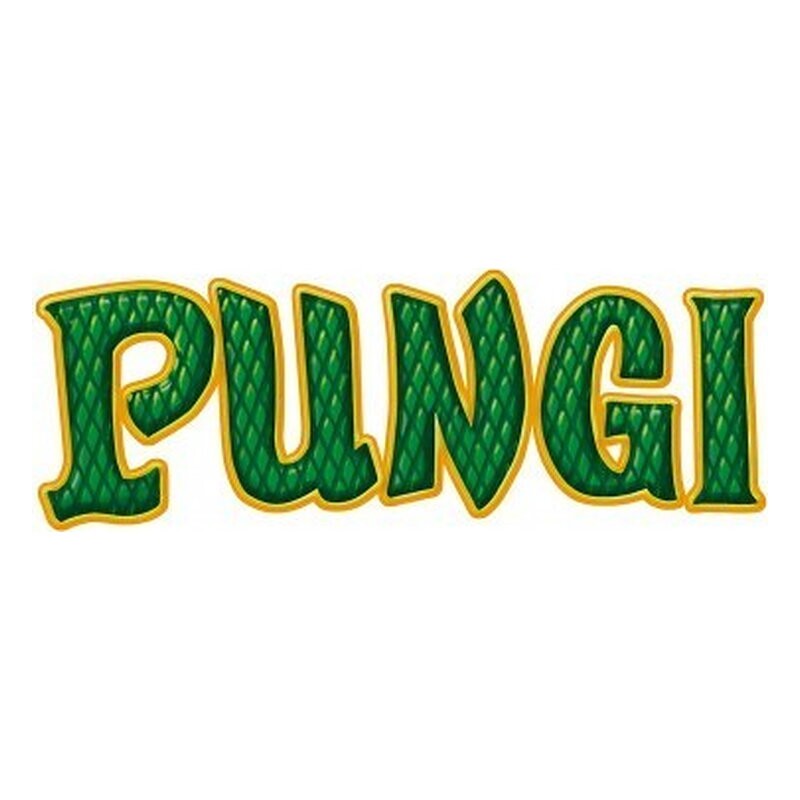 Pungi