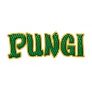 Pungi