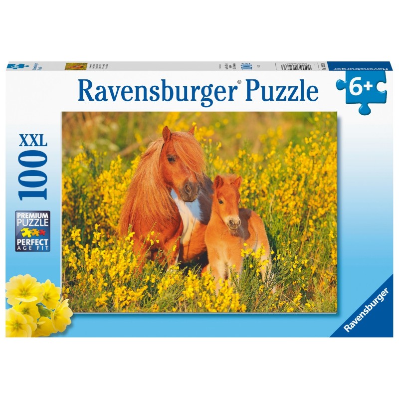 Puzzle 100 pz. XXL: Pony Shetland