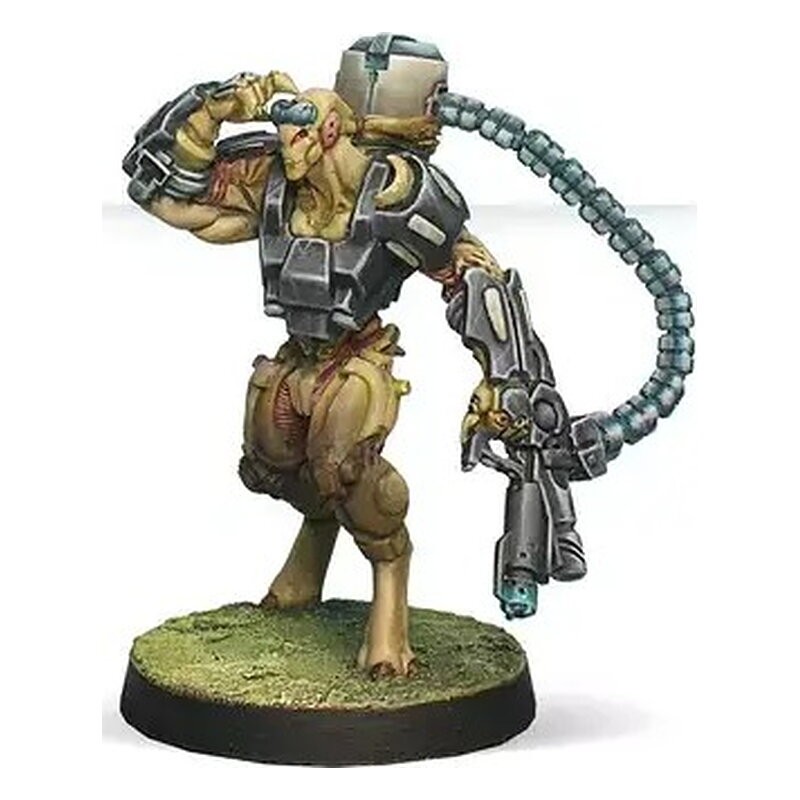 Tohaa Combat Force Repack Alpha (Inglés)