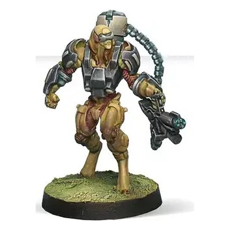 Tohaa Combat Force Repack Alpha (Inglés)