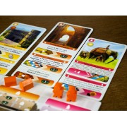 Pack: Deus + Egipto