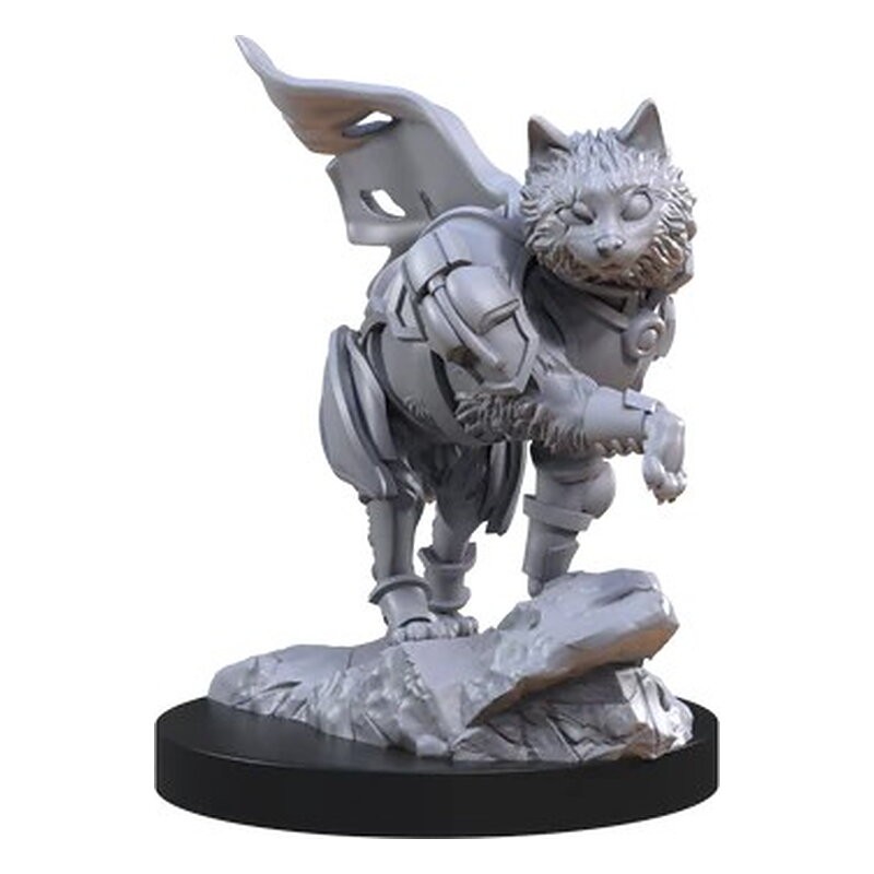 Cats of the Faraway Sea - Animal Adventures (Inglés)