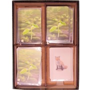 Inserto Compatible con FOREST SHUFFLE (Base + Exp. Cumbres Alpina + Exp. Linde del Bosque)