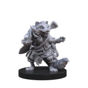 Raiders of the Lost Coast - Animal Adventures (Inglés)