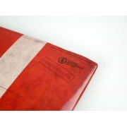 Material adicional - Conexión Viena - Detective