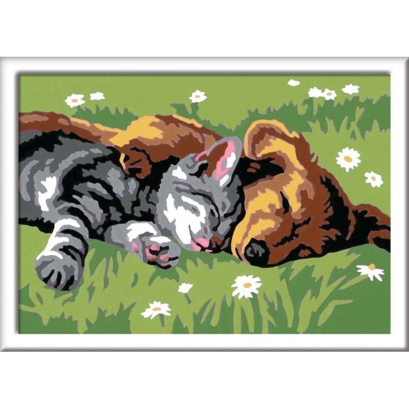 CreArt E - Gato y perro