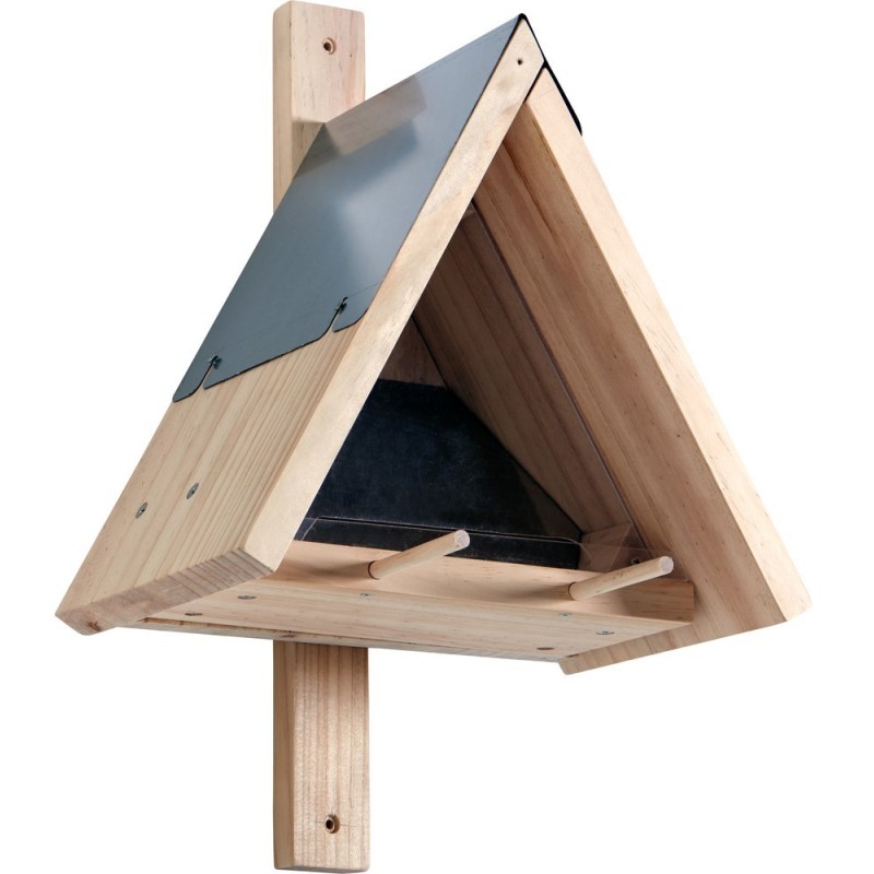 Terra Kids Kit Comedero para pájaros