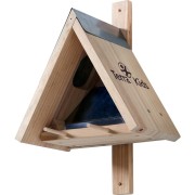 Terra Kids Kit Comedero para pájaros