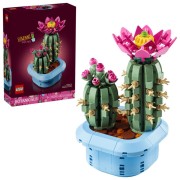 Cactus en Flor