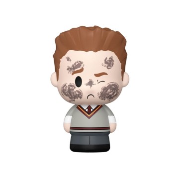 Funko POP! Mini Moments HP Anniversary - Harry with Seamus Chase (Case 5+1) - Harry Potter