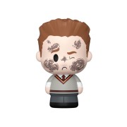 Funko POP! Mini Moments HP Anniversary - Harry with Seamus Chase (Case 5+1) - Harry Potter