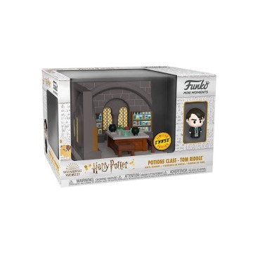 Funko POP! Mini Moments HP Anniversary - Draco with Tom Riddle Chase (Case 5+1) - Harry Potter
