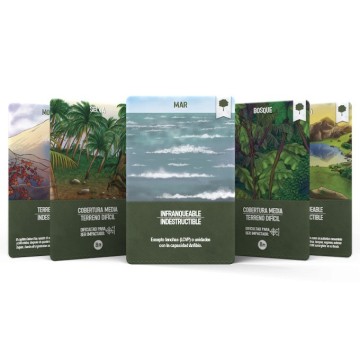 2GM Pacific (WWII wargame)