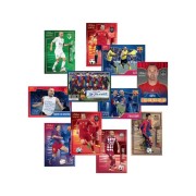 Collector Box - Tributo Andrés Iniesta 1993-2024 - Panini Cromos