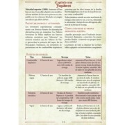 Leyendas 1517: Rescate En El Viejo York - Savage Worlds Ultima Forsan