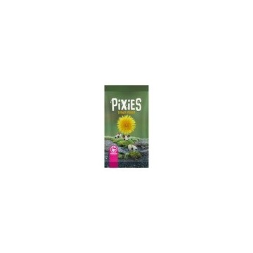 Pixies: Flower Power