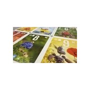 Pixies: Flower Power