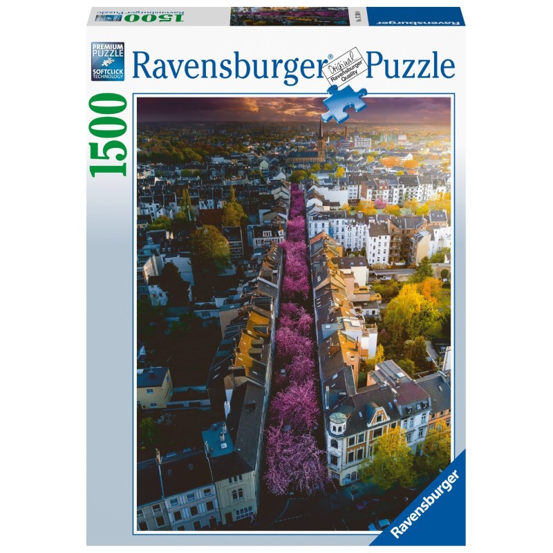 Puzzle 1500 pz: Bonn en flores