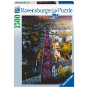 Puzzle 1500 pz: Bonn en flores