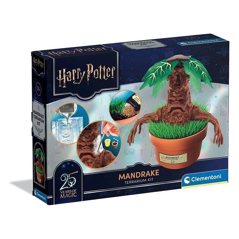 HARRY POTTER KIT TERRARIUM - MADRAGOLA